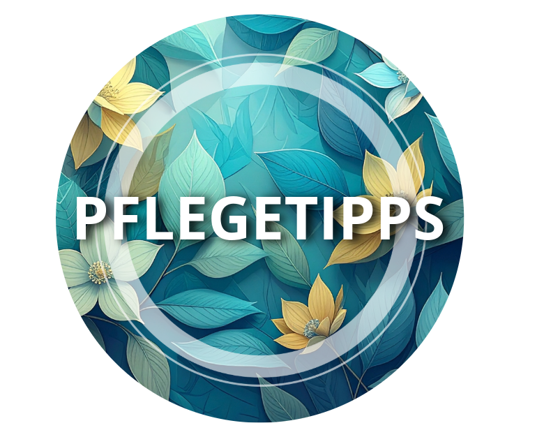 Pflegetipps