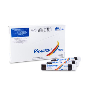 VICARTIN 1.000 Trinkampullen