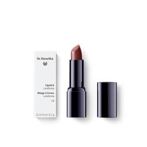 DR.HAUSCHKA Lipstick 14 caralluma